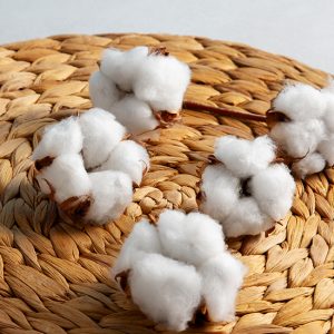 Home page about us - Hallmark Knit fabrics